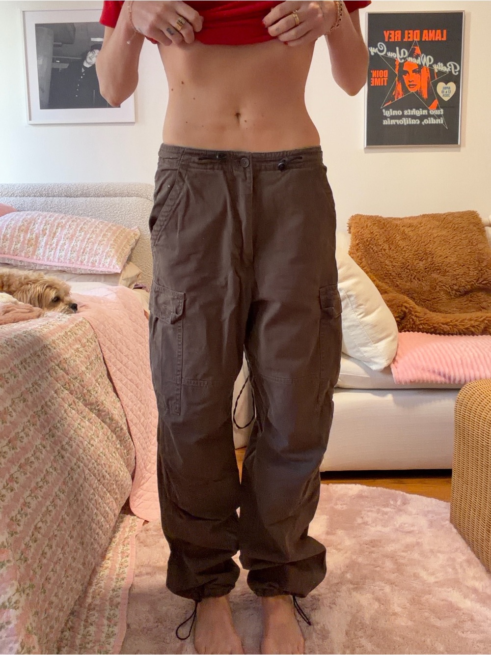 Brandy Melville Brown Cargo Track Pants
